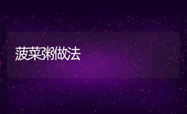 菠菜粥做法 | 养殖资讯