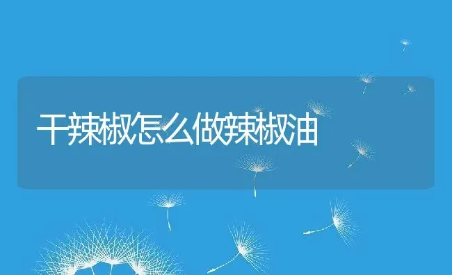 干辣椒怎么做辣椒油 | 养殖资料投稿