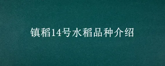 镇稻14号水稻品种介绍