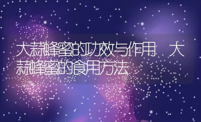 大蒜蜂蜜的功效与作用 大蒜蜂蜜的食用方法 | 养殖资料投稿