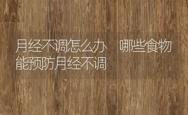 月经不调怎么办 哪些食物能预防月经不调 | 养殖资料投稿