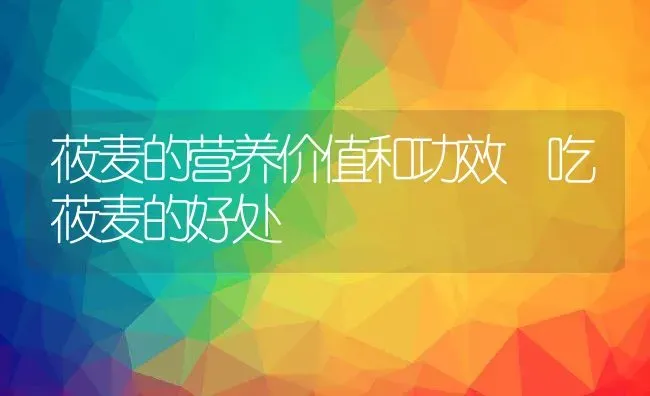 莜麦的营养价值和功效 吃莜麦的好处 | 养殖资讯