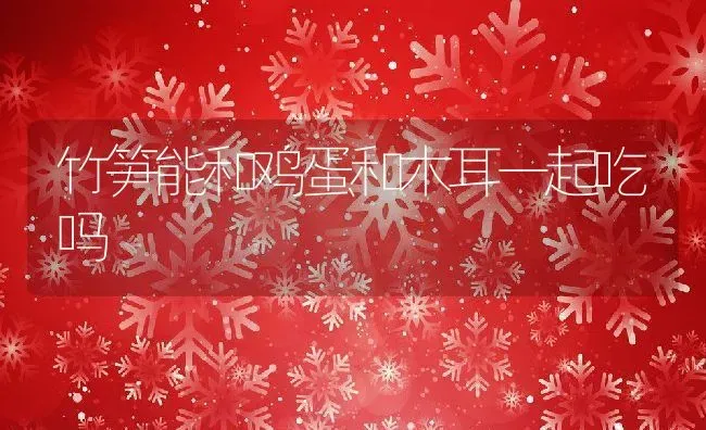 竹笋能和鸡蛋和木耳一起吃吗 | 养殖资料投稿