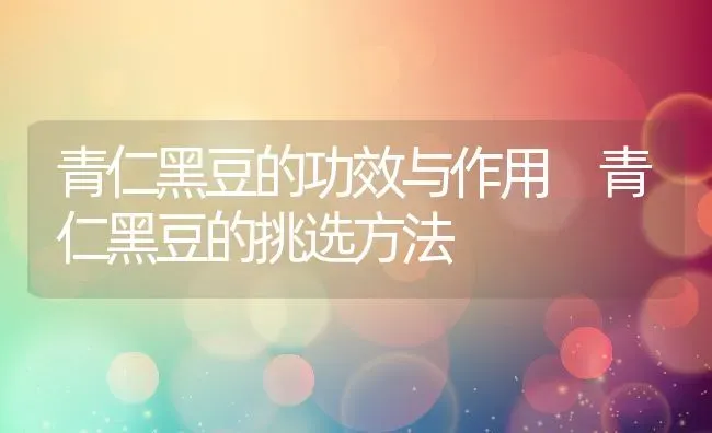 青仁黑豆的功效与作用 青仁黑豆的挑选方法 | 养殖资料投稿