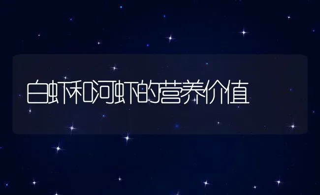 白虾和河虾的营养价值 | 养殖资料投稿