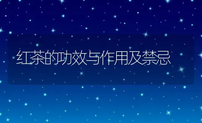 红茶的功效与作用及禁忌 | 养殖资料投稿