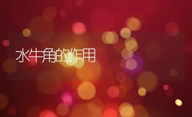 水牛角的作用 | 养殖资料投稿