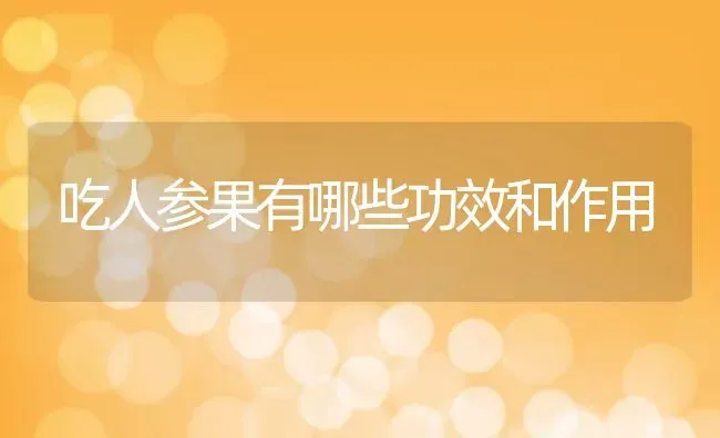 吃人参果有哪些功效和作用 | 养殖资料投稿