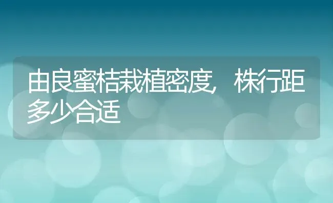 由良蜜桔栽植密度,株行距多少合适 | 养殖资讯