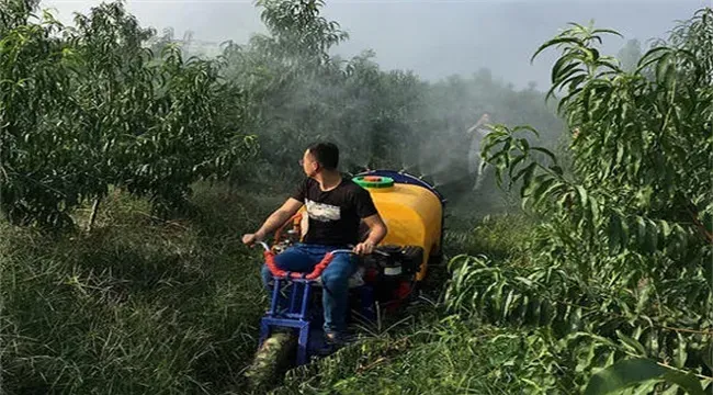 果园开春旋耕到底好不好