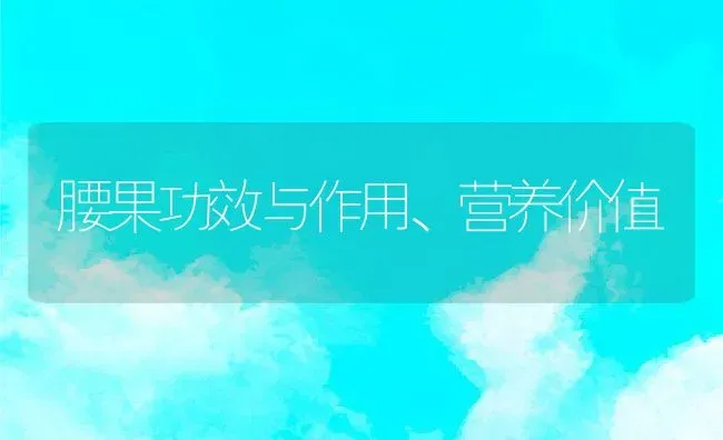 腰果功效与作用、营养价值 | 养殖资料投稿