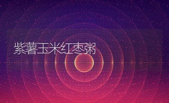 紫薯玉米红枣粥 | 养殖资讯