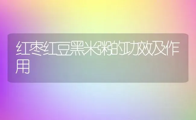 红枣红豆黑米粥的功效及作用 | 养殖资讯