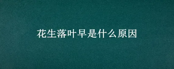 花生落叶早是什么原因