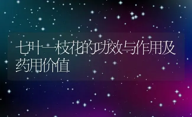 七叶一枝花的功效与作用及药用价值 | 养殖资料投稿
