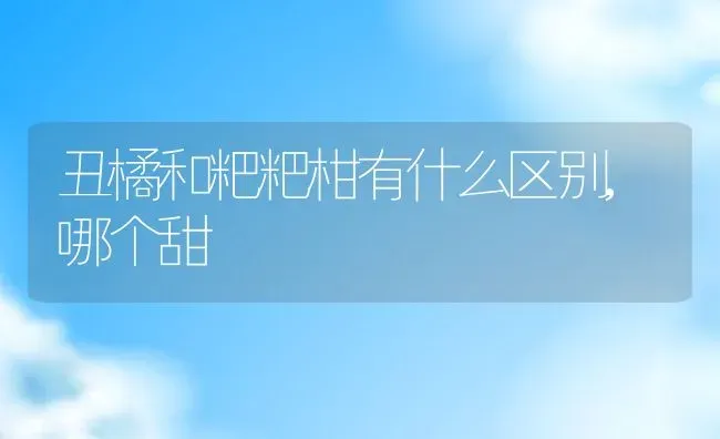 丑橘和粑粑柑有什么区别,哪个甜 | 养殖资讯