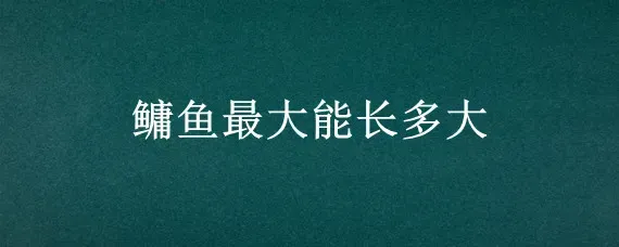 鳙鱼最大能长多大