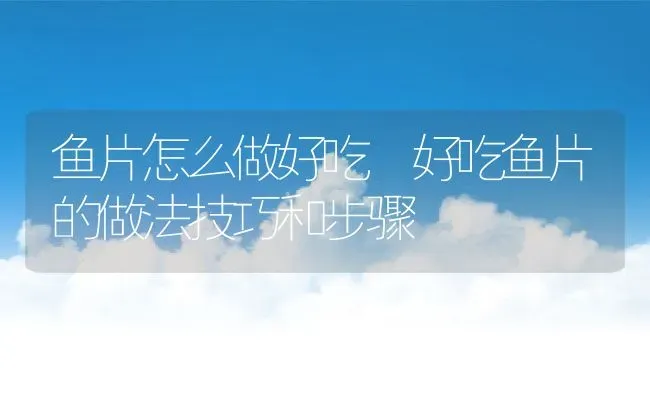 鱼片怎么做好吃 好吃鱼片的做法技巧和步骤 | 养殖资料投稿
