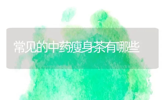 常见的中药瘦身茶有哪些 | 养殖资料投稿