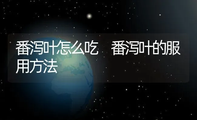 番泻叶怎么吃 番泻叶的服用方法 | 养殖资料投稿