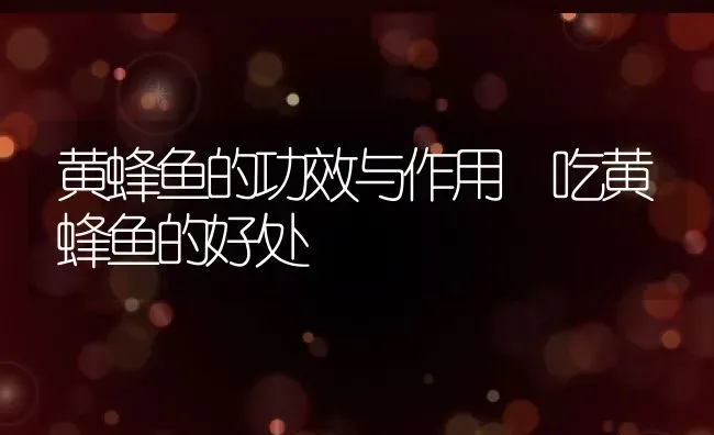 黄蜂鱼的功效与作用 吃黄蜂鱼的好处 | 养殖资料投稿