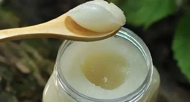 雪脂莲蜜孕妇可以喝吗？