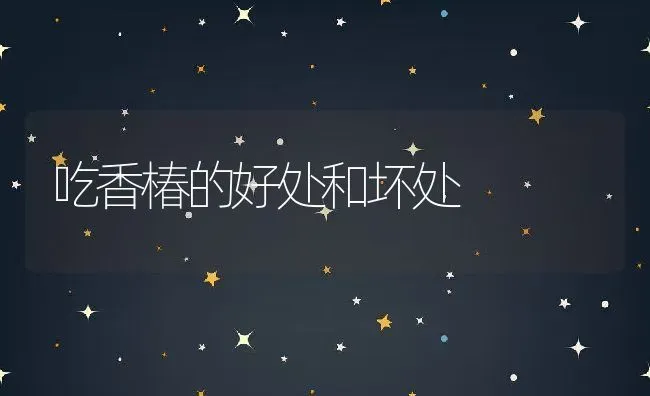 吃香椿的好处和坏处 | 养殖资料投稿