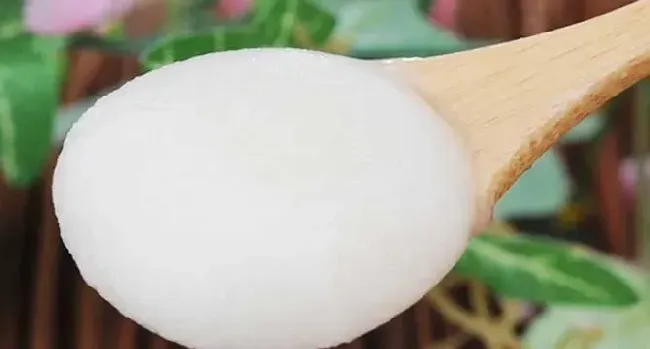 雪脂莲蜜孕妇可以喝吗？