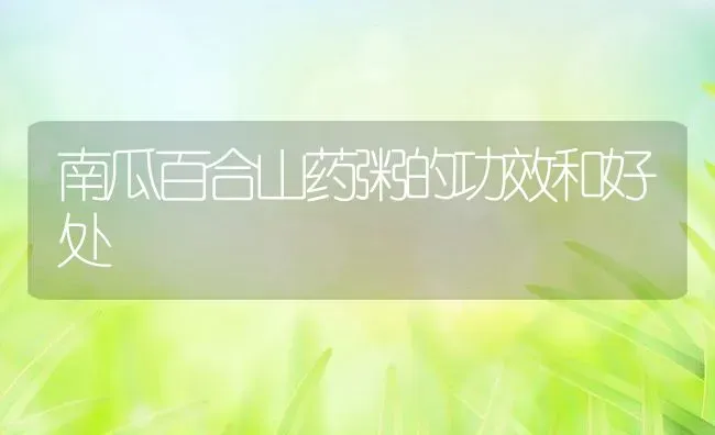 南瓜百合山药粥的功效和好处 | 养殖资讯