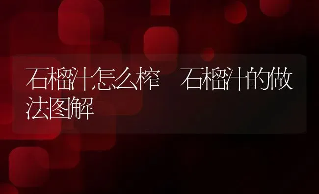 石榴汁怎么榨 石榴汁的做法图解 | 养殖资料投稿