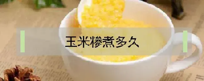 玉米糁煮多久