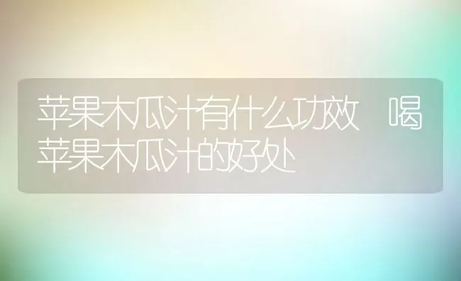 苹果木瓜汁有什么功效 喝苹果木瓜汁的好处 | 养殖资料投稿