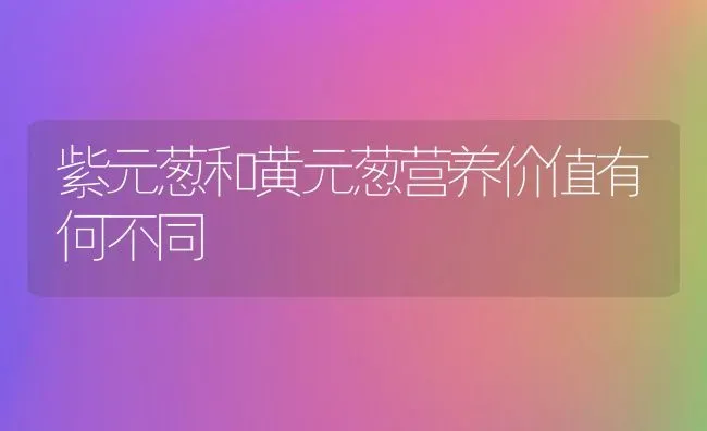 紫元葱和黄元葱营养价值有何不同 | 养殖资料投稿