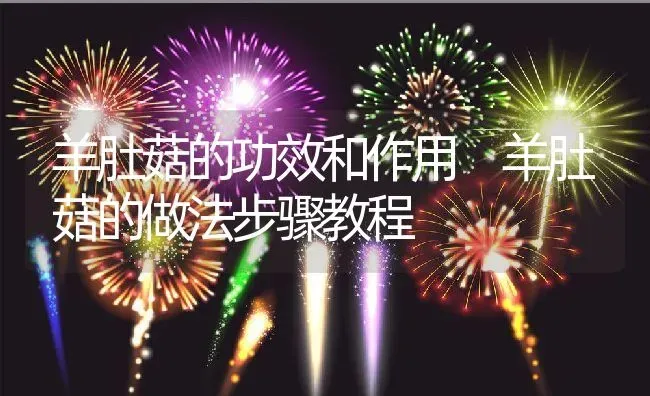 羊肚菇的功效和作用 羊肚菇的做法步骤教程 | 养殖资料投稿