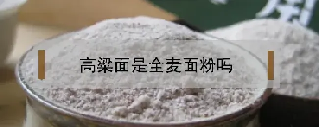 高粱面是全麦面粉吗