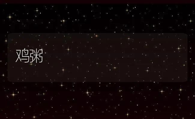 鸡粥 | 养殖资讯