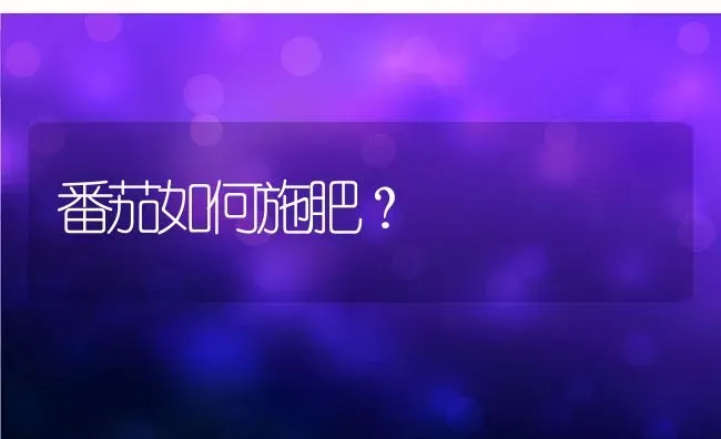 番茄如何施肥？ | 养殖资料投稿