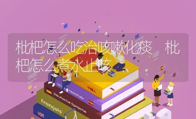 枇杷怎么吃治咳嗽化痰 枇杷怎么煮水止咳 | 养殖资料投稿