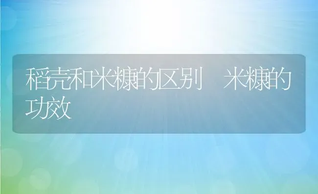 稻壳和米糠的区别 米糠的功效 | 养殖资讯