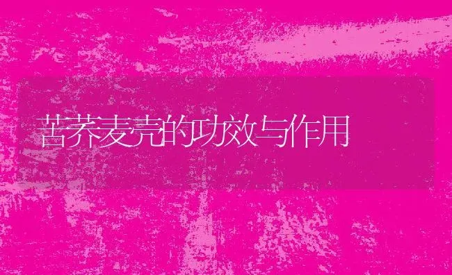 苦荞麦壳的功效与作用 | 养殖资讯