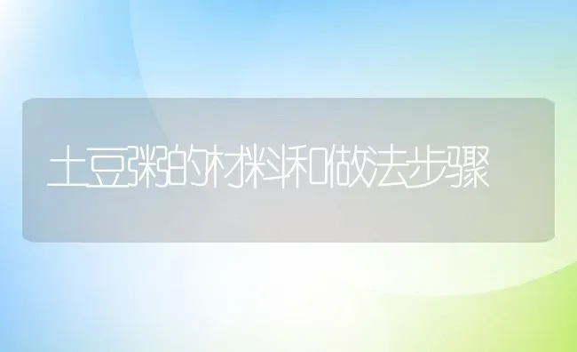 土豆粥的材料和做法步骤 | 养殖资料投稿