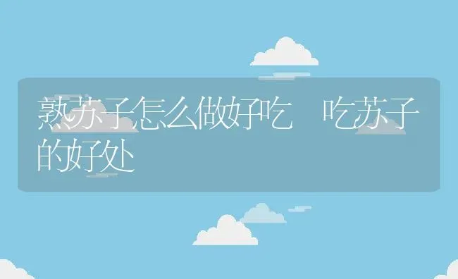 熟苏子怎么做好吃 吃苏子的好处 | 养殖资料投稿