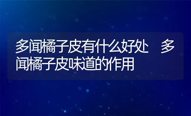 多闻橘子皮有什么好处 多闻橘子皮味道的作用 | 养殖资料投稿