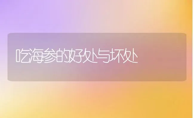 吃海参的好处与坏处 | 养殖资料投稿