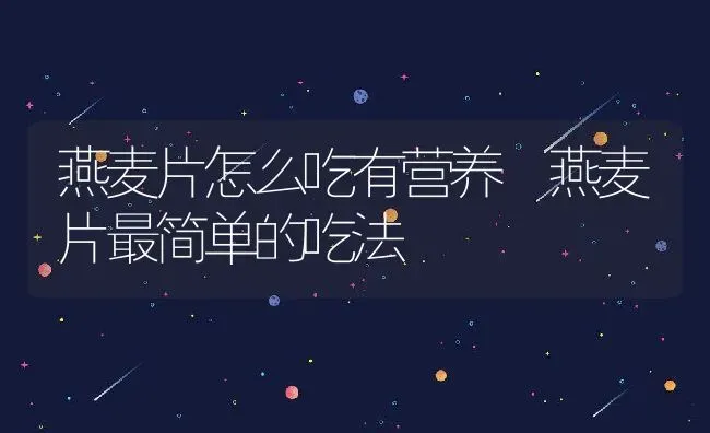 燕麦片怎么吃有营养 燕麦片最简单的吃法 | 养殖资讯