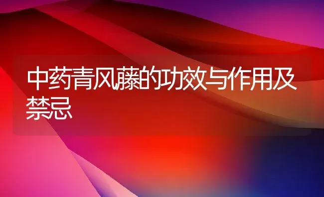 中药青风藤的功效与作用及禁忌 | 养殖资料投稿