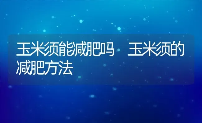 玉米须能减肥吗 玉米须的减肥方法 | 养殖资料投稿