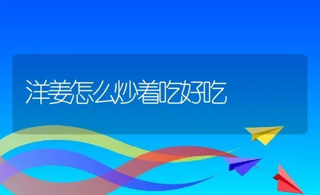 洋姜怎么炒着吃好吃 | 养殖资料投稿