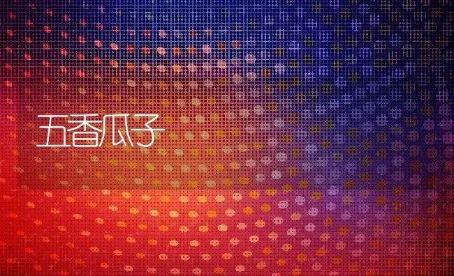 五香瓜子 | 养殖资料投稿