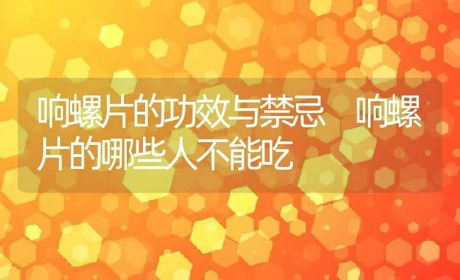 响螺片的功效与禁忌 响螺片的哪些人不能吃 | 养殖资料投稿